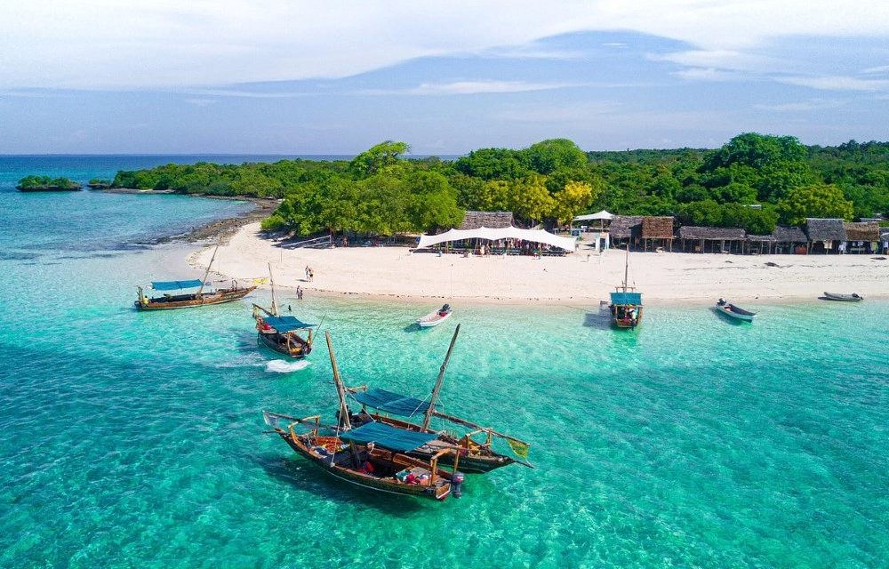 The Safari Blue, Zanzibar